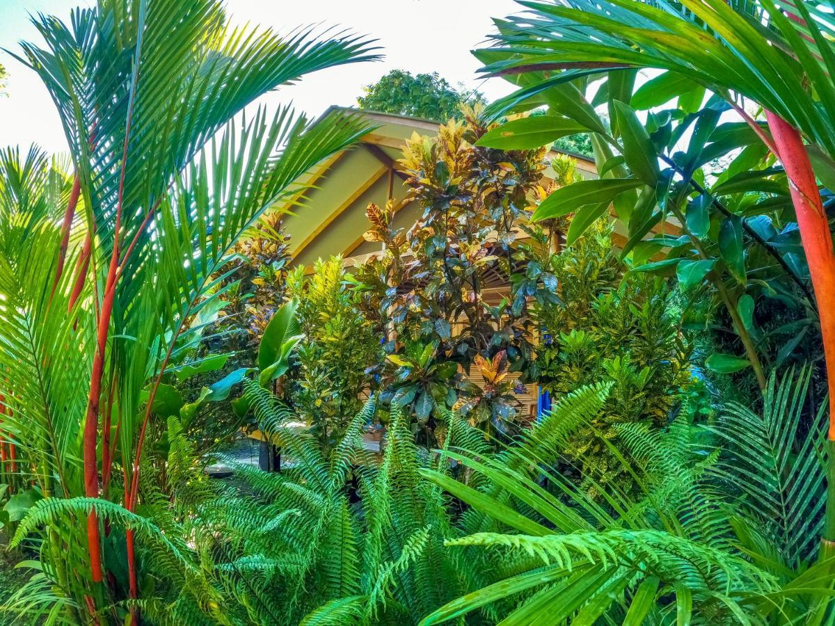 Puerto Viejo de Talamanca Relax Natural Village Adults Only מראה חיצוני תמונה