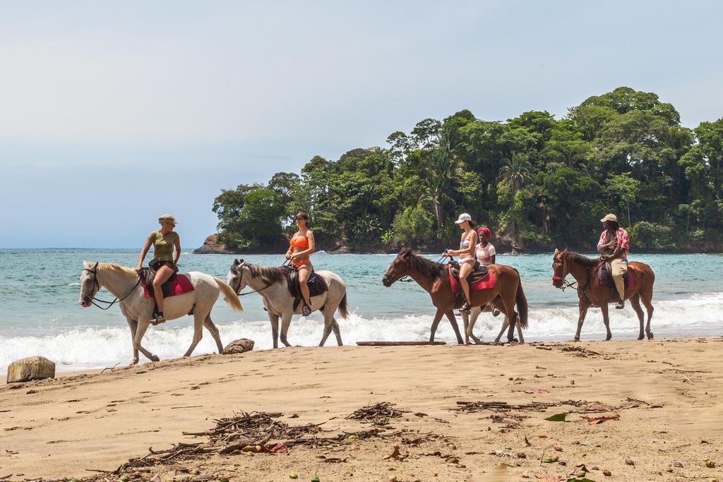 Puerto Viejo de Talamanca Relax Natural Village Adults Only מראה חיצוני תמונה
