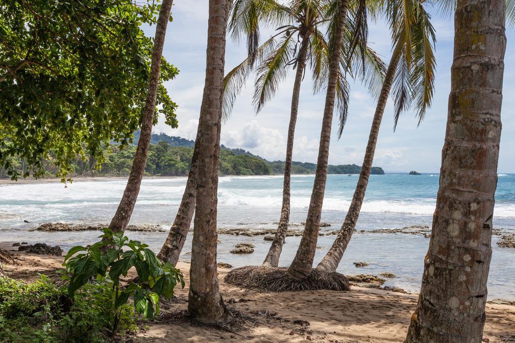 Puerto Viejo de Talamanca Relax Natural Village Adults Only מראה חיצוני תמונה