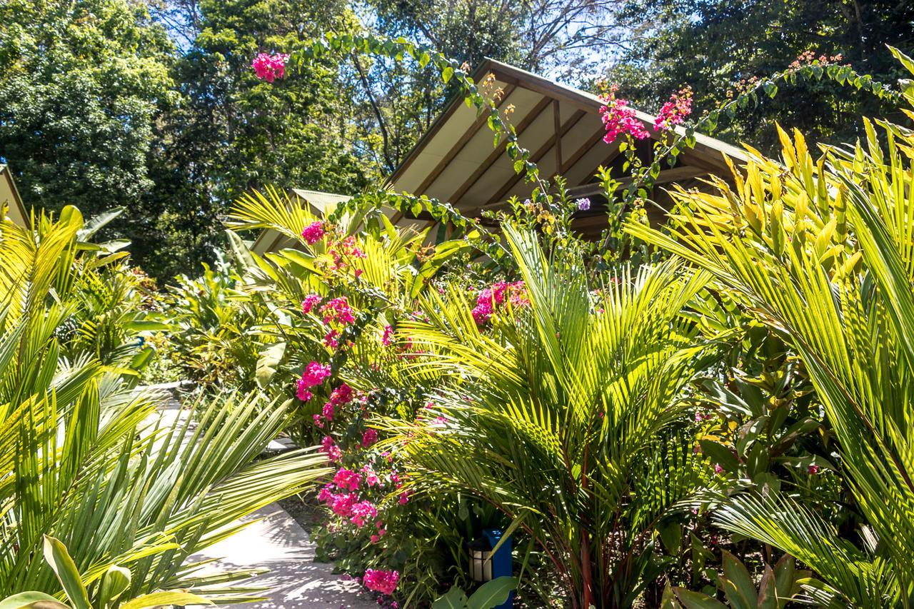 Puerto Viejo de Talamanca Relax Natural Village Adults Only מראה חיצוני תמונה