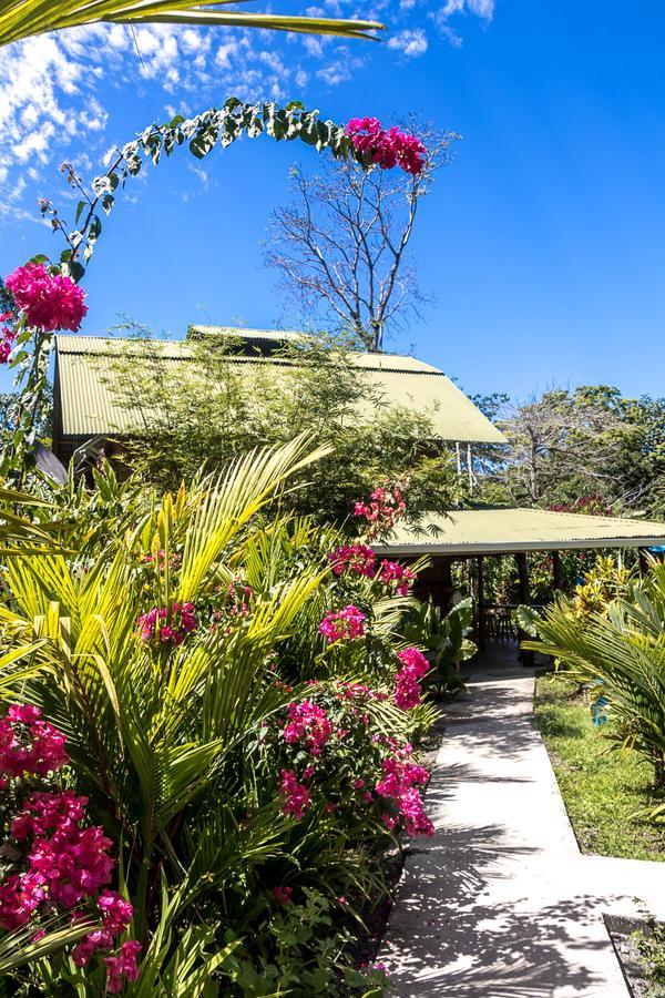 Puerto Viejo de Talamanca Relax Natural Village Adults Only מראה חיצוני תמונה
